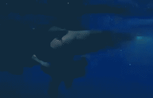 AthenaBrigid2.gif