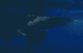 Thumbnail for version as of 02:06, 23 May 2023