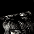 Thumbnail for version as of 02:02, 13 June 2024
