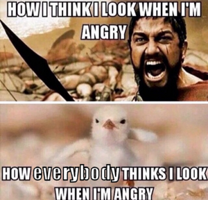 How I think I look when I'm angry. (Warrior) vs How everybody thinks I look when I'm angry. (Newly hatched fuzzy chick looking angry)