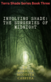 Thumbnail for version as of 21:15, 6 January 2023
