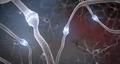 Thumbnail for version as of 23:44, 24 May 2025