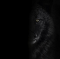 Thumbnail for version as of 21:55, 18 January 2024